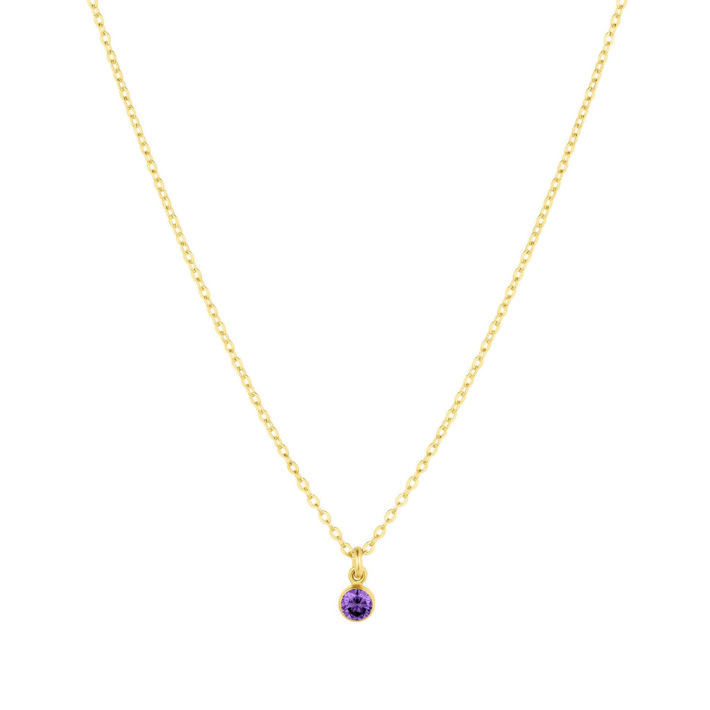 Birthstone Charm Necklace