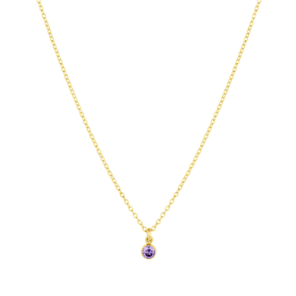 Birthstone Charm Necklace