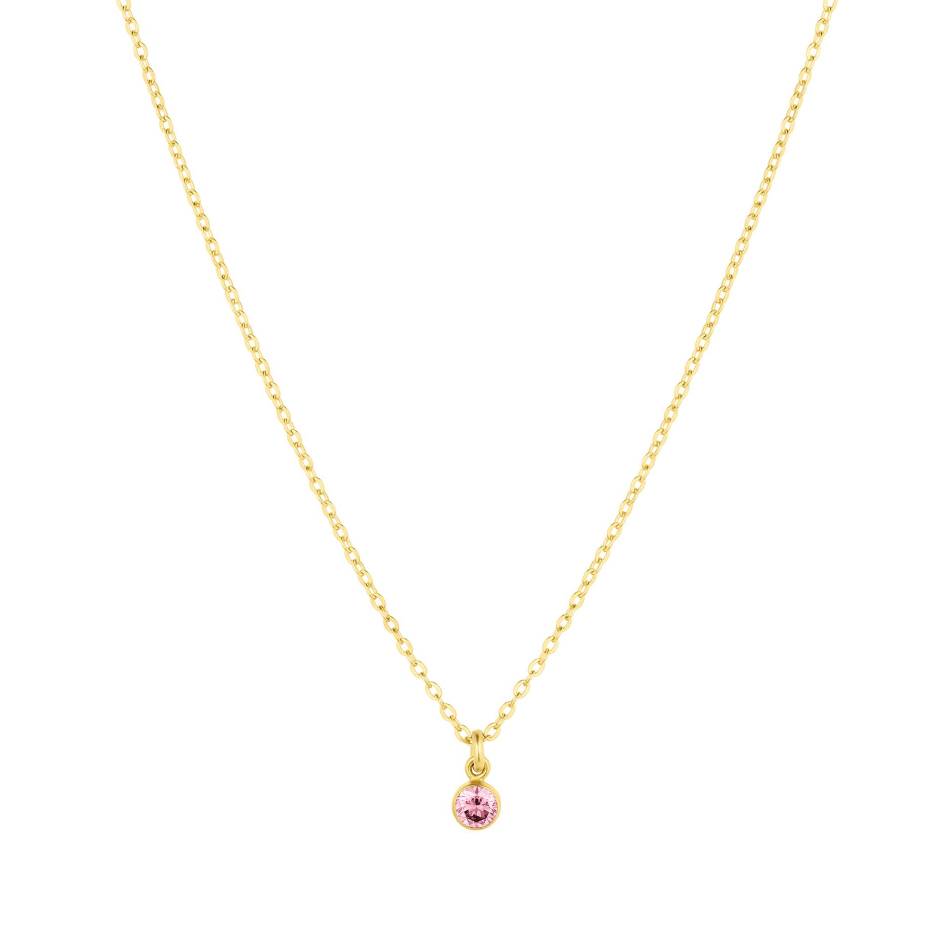 Birthstone Charm Necklace