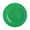 Melamine Lunch Plate | Forest Green